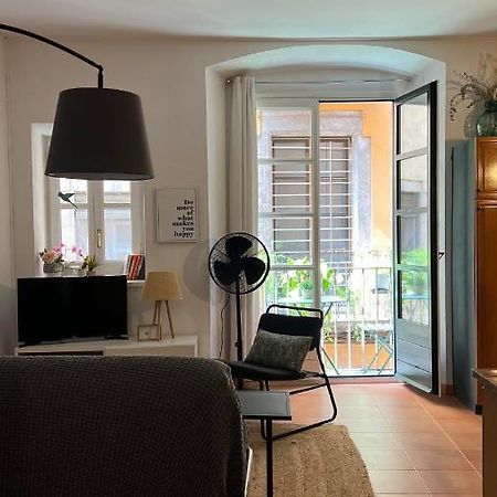 Apartamento Con Encanto Y Terraza En Barri Vell De Girona, El Cul De La Lleona Zewnętrze zdjęcie
