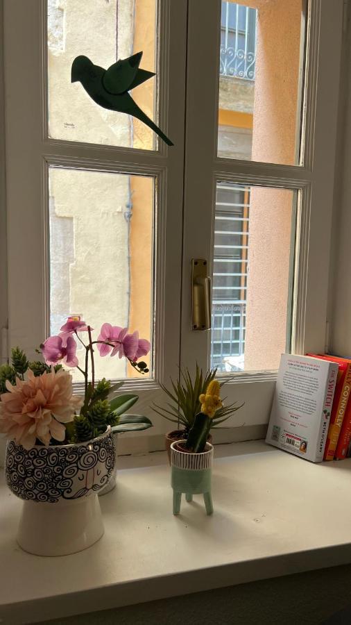 Apartamento Con Encanto Y Terraza En Barri Vell De Girona, El Cul De La Lleona Zewnętrze zdjęcie